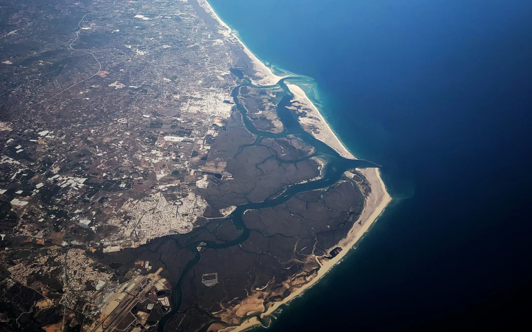 Ile naprawdę kosztuje posiadanie samolotu ultralekkiego?